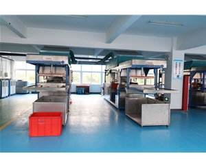 吸塑包(bao)裝生産車間(jiān)